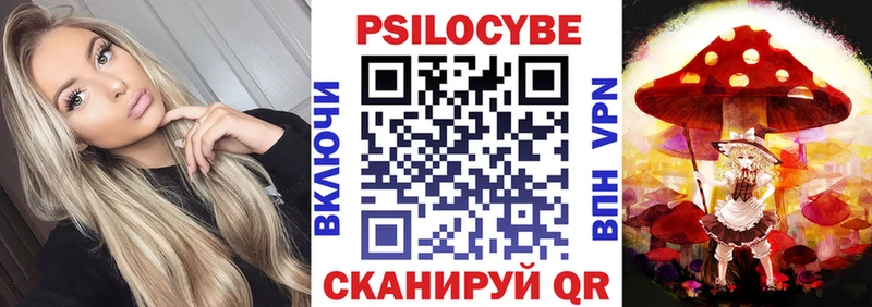 Псилоцибиновые грибы Psilocybine cubensis  Купить закладки  Слюдянка 
